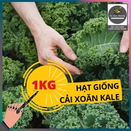 1Kg of kale seeds (green kale) are disease resistant, grown all year round