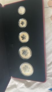 2013年加拿大楓幣
