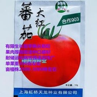 【大目】合作903大紅番茄種子 種籽早熟有限生長型厚肉圓果抗病高產西紅柿種籽hxmm