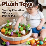 Carrot Pairing Education Carrot Education Sensory Pull Early plush Toys Cognitive 9 Pieces Numbers
