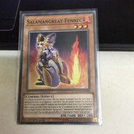 Yugioh card! Salamangreat Fennec (N)