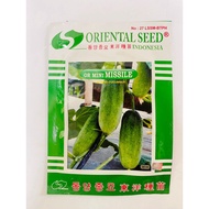 Cucumber Seeds baby Hybrid or mini MISSILE 20ml Contents From ORIENTAL SEED