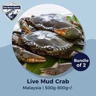 [BUNDLE OF 2] Sri Lanka Live Mud Crab | 400g~1500g+/- Whole l Clean l Cut | LIVE + FRESH!