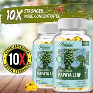 Papaya Leaf Extract - Supports platelet immunity and digestion - Non-GMO - Gluten-free