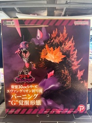 (黃埔聚寶坊B1b號舖門市現貨)Plex Xplus 東寶30cm系列 TOHO 30 紅蓮 哥斯拉 Godzilla 新世紀福音戰士 Eva 01 初號機 G覺醒 Evangelion Unit-0