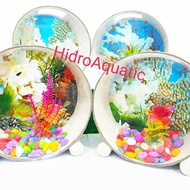 Aquarium mini / Aquarium cupang / Aquarium gantung