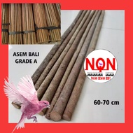 tangkringan asam jawa kayu kandanh TANGKRINGAN ASEM JAWA CUCAK IJO CIBLEK PLECI KONIN / BURUNG KECIL
