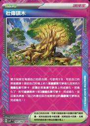 寶可夢卡牌 PTCG 中文 壯偉碩木 SV7 101/102 ACE