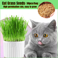 [Fast Germination] 50pcs Cat Grass Seeds for Planting Japanese Organic Natural Cat Grass Seeds No So