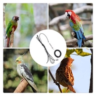 Premium Imported Bird Flying Training Rope 2 Meters 3 Meters 6 Meters