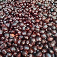 Tamarind Seeds Suitable For Plant A Fence Beautiful Garden 1000 g.