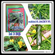 3 Biji benih zukini f1 JACKY AGROSID buah umur genjah buah lebat -Benih repacking F1 seeds