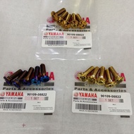 Y15ZR V1/V2 Front/Rear Disc Plate Screw Set (5pcs) Blue/Gold