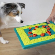 【瑞典益智玩具】 狗大師-棋盤高手 LV4 寵物玩具