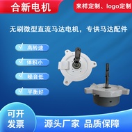 Factory Direct Supply Motor Pure Copper Motor for Floor Fan, Fascia Gun, Circulation Fan, Neck Massa