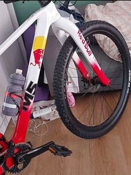 Twitter M5 mountain bike