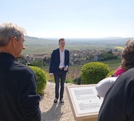 From Reims: Day Trip to Veuve Clicquot Family Grower & Lunch
