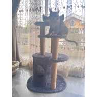 Miaw Cat Scratcher Cat Tree Cat Tree Cat Condo Cat Scratching Toy