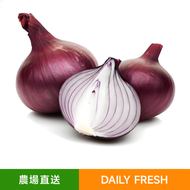 每日生鮮 - 新鮮紫洋蔥/紅洋蔥（约500g）花青素爆棚 抵抗力Upgrade