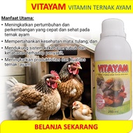 VITAYAM / Vitamin Ayam Kampung / Vitamin Ternak Ayam Kampung cepat besar / penambah nafsu makan ayam