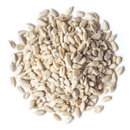 Sunflower Seed 100g Sunflower Seed 100g