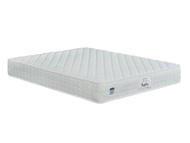 King Koil Ortho Care Maples Spring Mattress