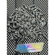 Bolt Stanlis 618Racing Vietnam M6x15 Thread 10 Original Vietnam