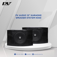 PV Audio 200W-300W 12" Karaoke Speaker System K550