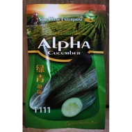 Alpha Cucumber T111 seeds/benih timun starplant 20gm