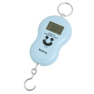 Ruilogod LCD Display Electronic Scale Hanging Weight 40Kgx10g Baby Blue (id: e2d 299 153 e3c ff0