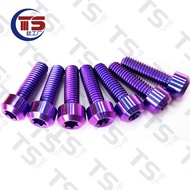 TS 64 Positive Titanium Alloy M5X5/10/15/20/25/30/35/65mm M5 Cylindrical Chamfer Inner Torx Motorcycle Modified Screw Engine Hood Bolt P 0.8mm