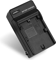 LP-E6 Battery Charger for Canon EOS 5D Mark II, EOS 5D Mark III, EOS 60D, EOS 60Da, EOS 6D, EOS 70D, EOS 7D, EOS 7D Mark II, Replacement for Canon LC-E6 LC-E6E Charger