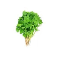 || VEGETABLES || FRESH CORIANDER LEAVES / 60 gram