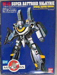 1/100 Macross VF-1S Special Coating Version