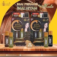 INAI V'ASIA - (PEWARNA RAMBUT) V'ASIA