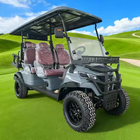 MMC Street Legal 2-Seater Golf Cart 5000W Electric 4-Wheel Off-Road Sightseeing Scooter with Lithium