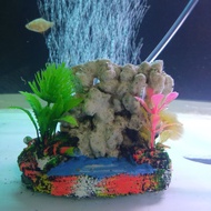 Beautiful & Unique Sea Coral Aquarium Decoration