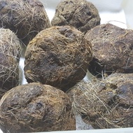 BATU EMPEDU BABI  ORIGINAL