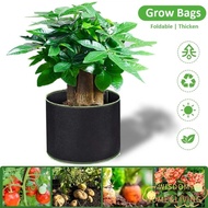 WISDOM 1/3/5/7/10 Gallon Grow Bag, with Handles Felt Garden Planting Bag, Durable Garden Tools 1/3/5