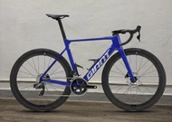 特價再入荷 2024 Propel Adv 1 電子變速