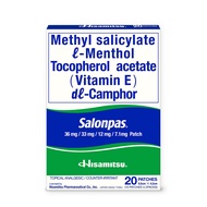 Salonpas Medicated Patch (20 Patches)