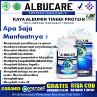 KAPSUL ALBUCARE Ekstrak Albumin Ikan Gabus KAPSUL KUTUK PREMIUM - Obat Pengering Luka Pasca Operasi