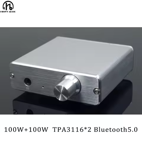 100W *2 Bluetooth 5.0 Digital Amplifier of TPA3116d2 TPA3116 home Audio AMP 2.0CH