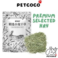 PetCoCo 🐾Naturalists Furrific Timothy Hay 500g Canada Imported First Cut Second Cut Oven Baked | 源物派