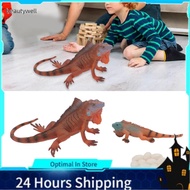 beautywell-my Zerodis Iguana Life Cycle Model Joint of Educational Toys for Children Environmental M