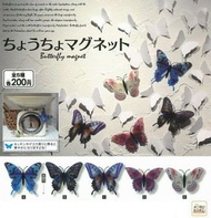✿特價✿【全套/散賣】KORO KORO Butterfly Magnet 蝴蝶 磁石貼 扭蛋 (全5種) **先看內容**