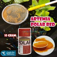 rainbow - 1 PC 10 GRAM Artemia Polar Red Tanpa Cangkang Langsung Tabur Fish Food Makanan Ikan Artemi