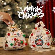 Christmas Eve Apple Packaging Bag Peace Fruit Gift Bag Children's Handheld Candy 2025 New Model Gift