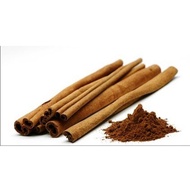 KAYU MANIS REAL LIVE PLANT