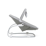 Joie Bouncer Meet Wish Petite City